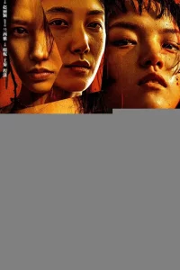 Мы, девочки 